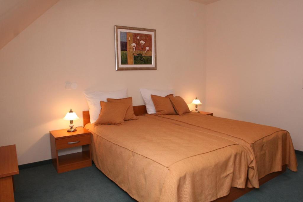 Hotel Istra 바라즈딘 객실 사진